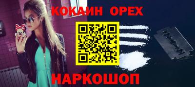 дмт Кингисепп