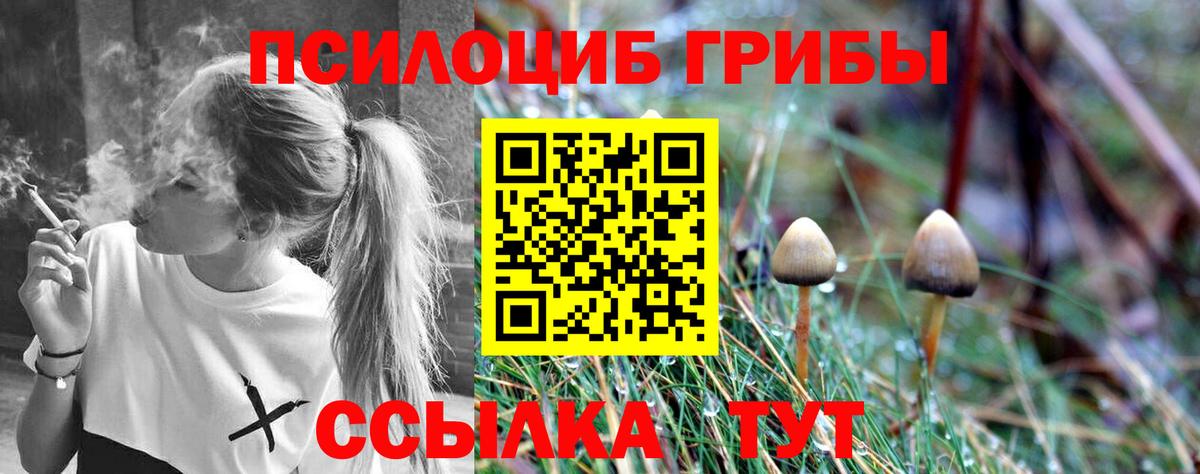 Псилоцибиновые грибы Magic Shrooms  Галлюциногенные грибы Magic Shrooms  Зима  Вход с VPN 